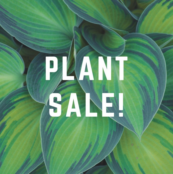 Plant Sale!